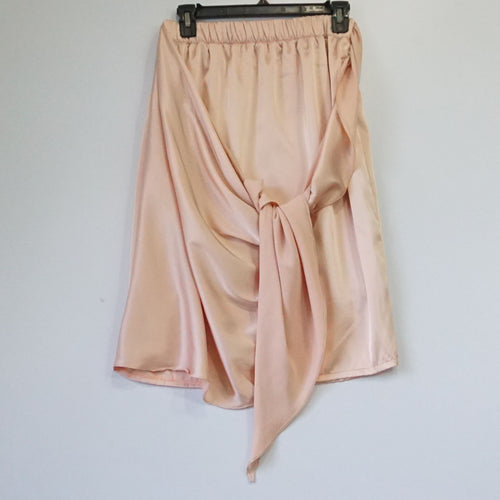 WES0676 Skirt (L)