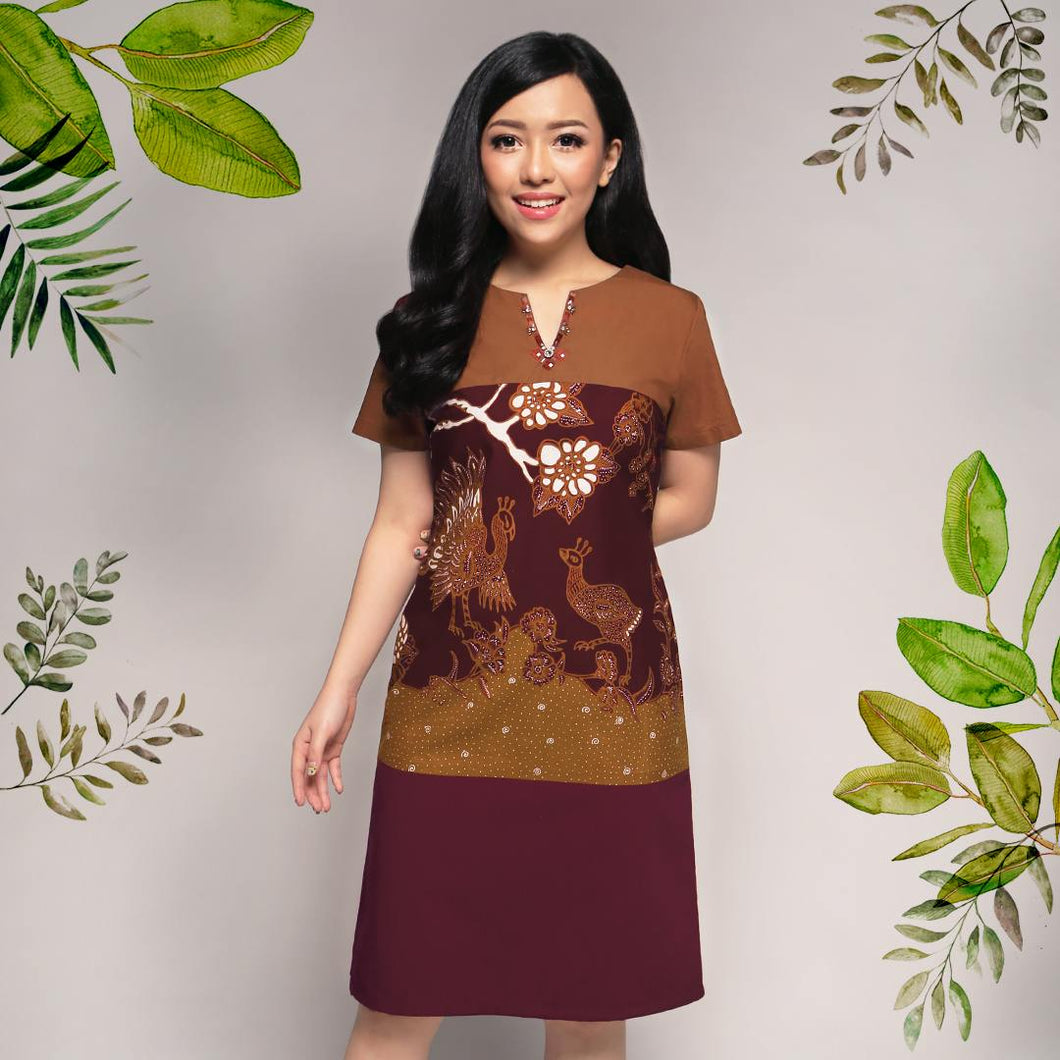 RS-PPS0089 Dress (XXL)