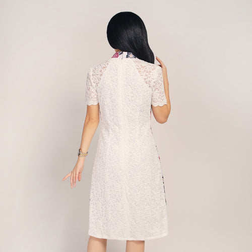 RS-PCD0179 Dress (XS)